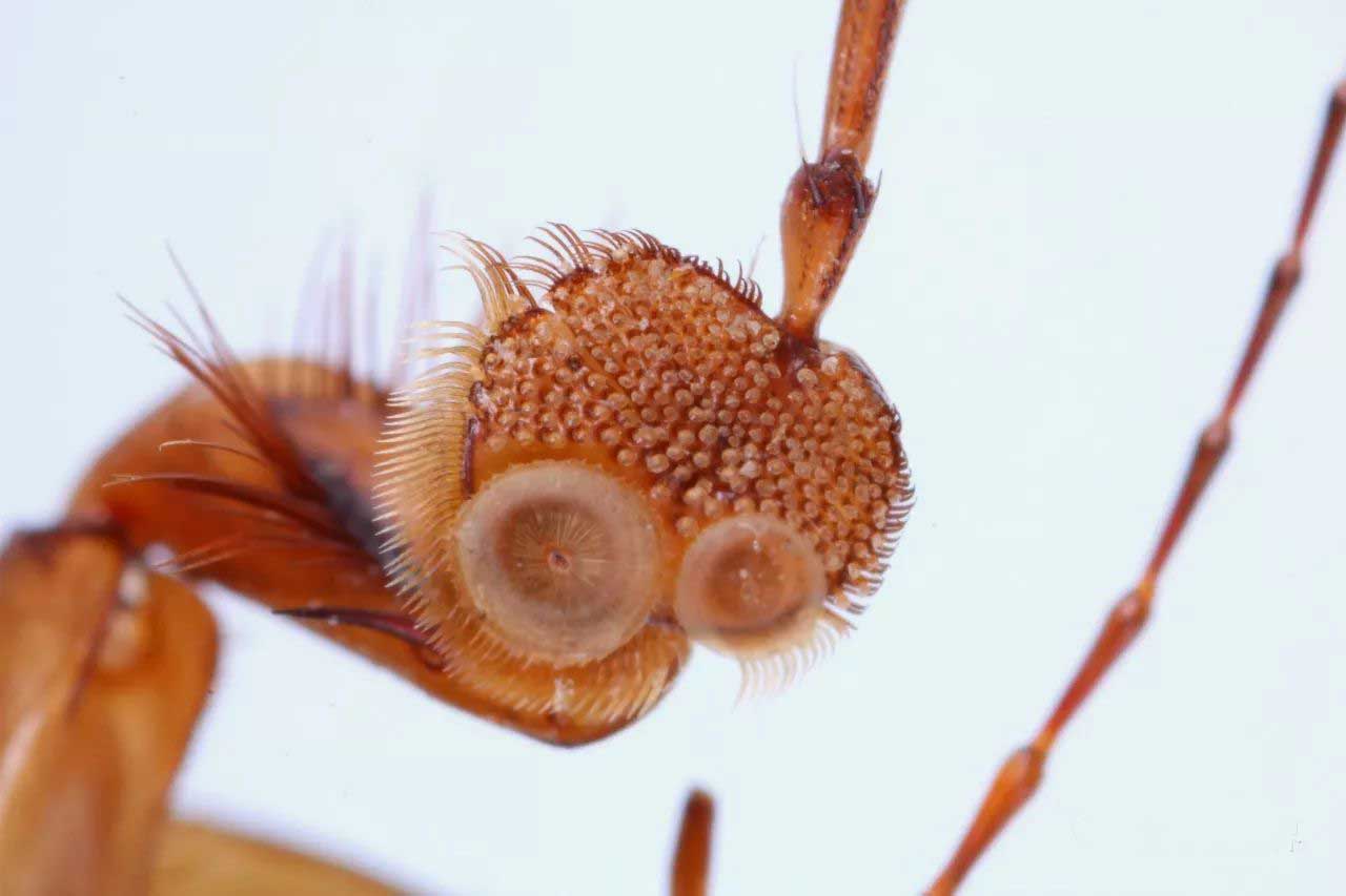 姘翠腑楝ｇ嫍,姘翠笅楝ｇ嫍