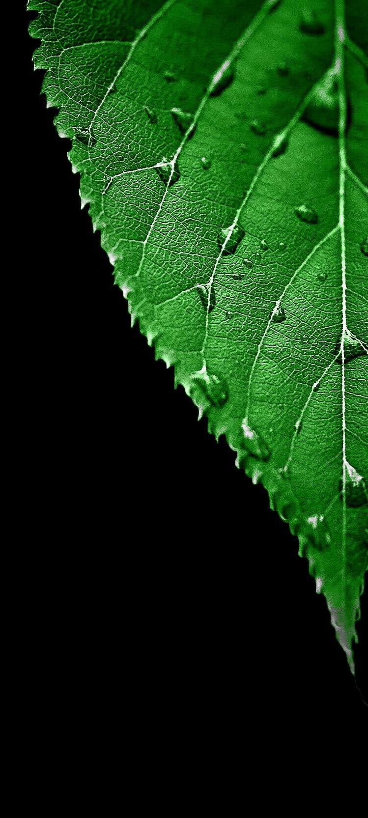 方便整理桌面图标的壁纸,不影响电脑性能的动态壁纸