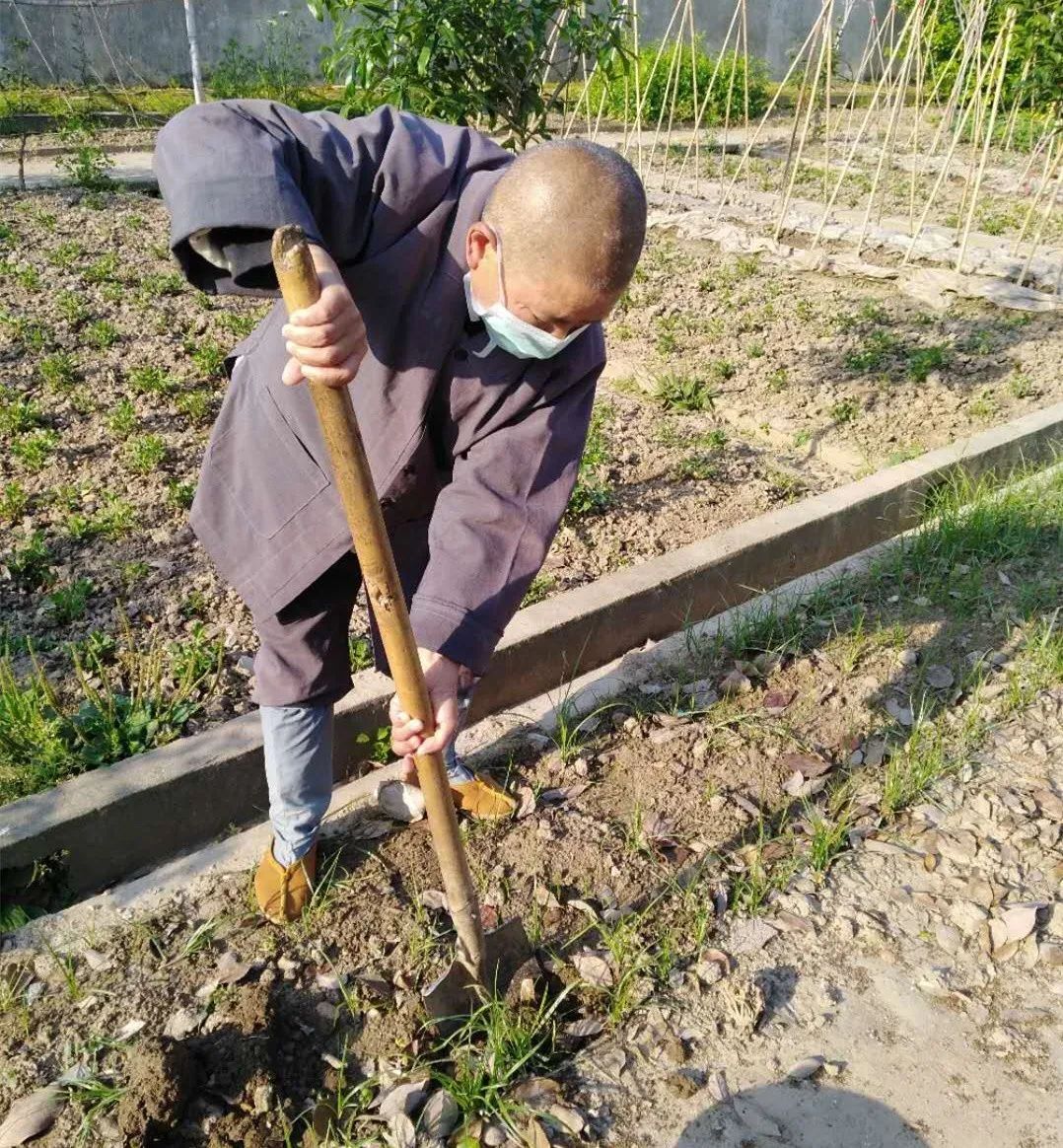 抢抓农时开展农业生产,农民纷纷抢抓春耕生产有利时机