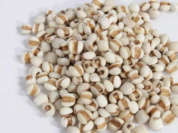 康芝仁中医馆资兴,康芝仁中医馆电话