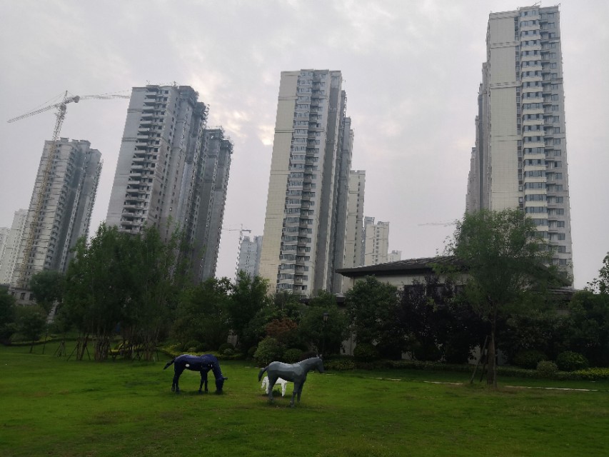 淮安足球场夜场,足球场夜场图片