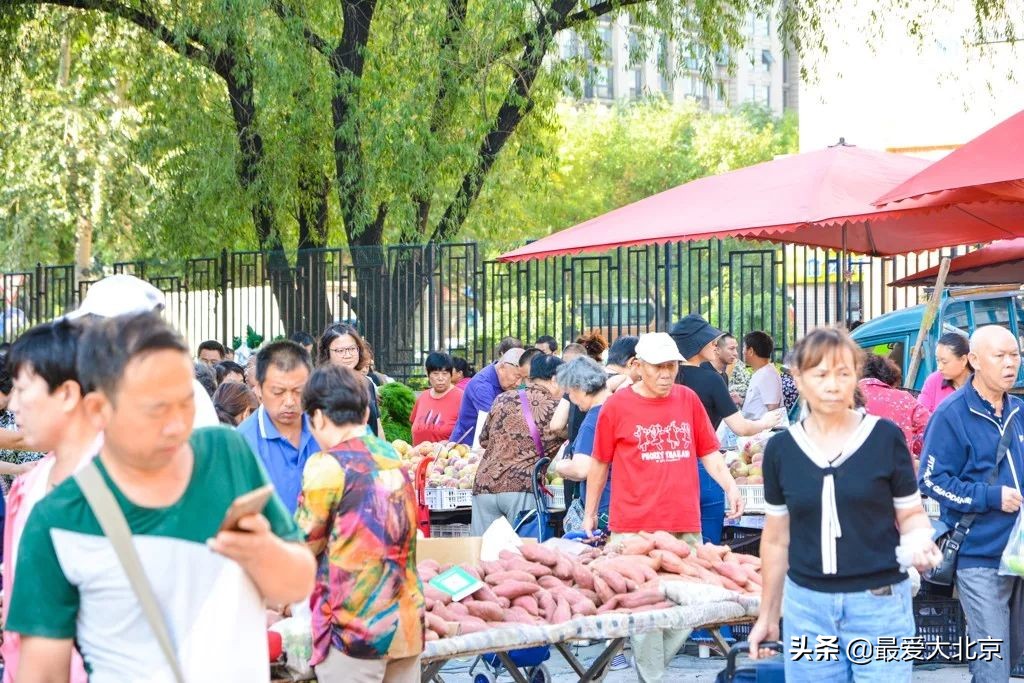 最便宜的早市品种,北方早市有哪些品种