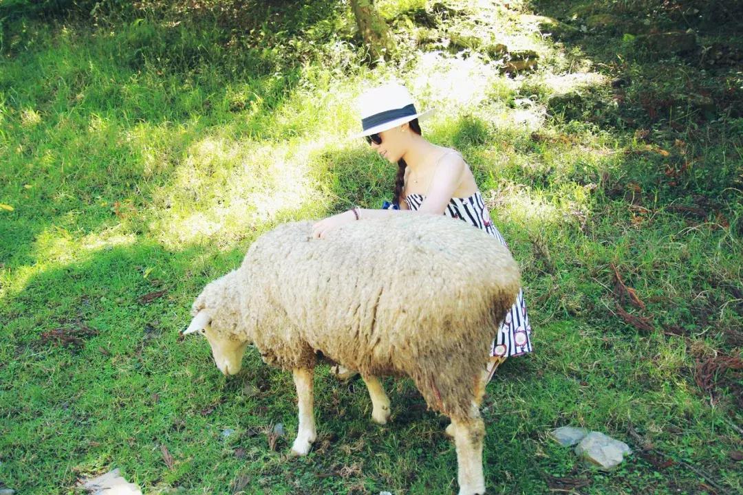 晒后修复四招拯救变成黑人的你