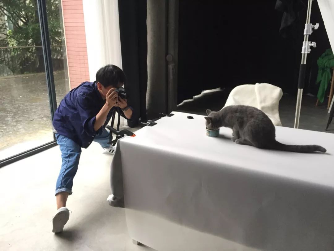 怎样学习摄影拍照技术,学习拍照技术技巧