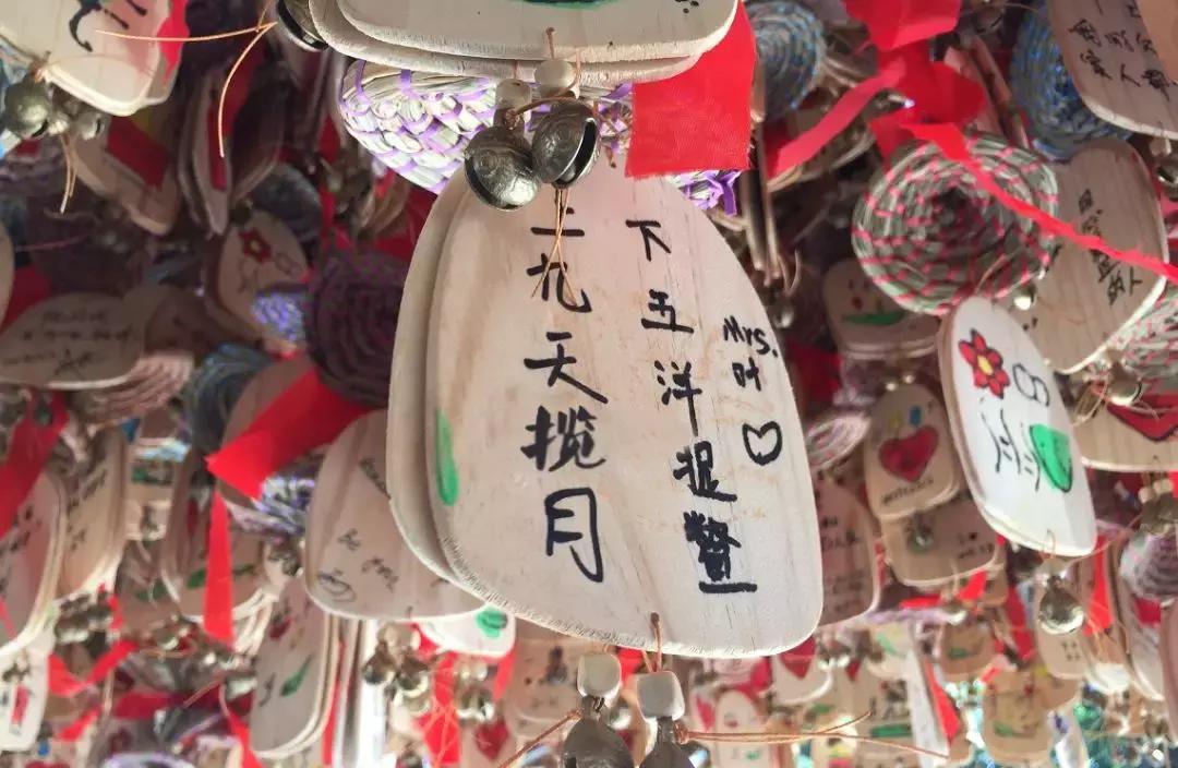 看了照片,我3秒钟就决定要去丽江