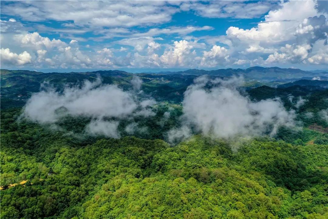 来看看那些云南元素满满的影视剧,这些让人难以忘怀的镜头