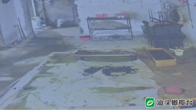 河南的老板在广东汕头澄海玩具厂,汕头澄海莱美工业区群星玩具厂