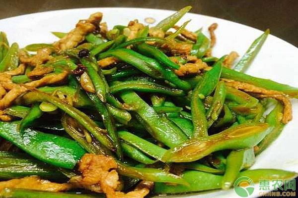 扁豆怎么择菜,哪种扁豆产量高又好吃