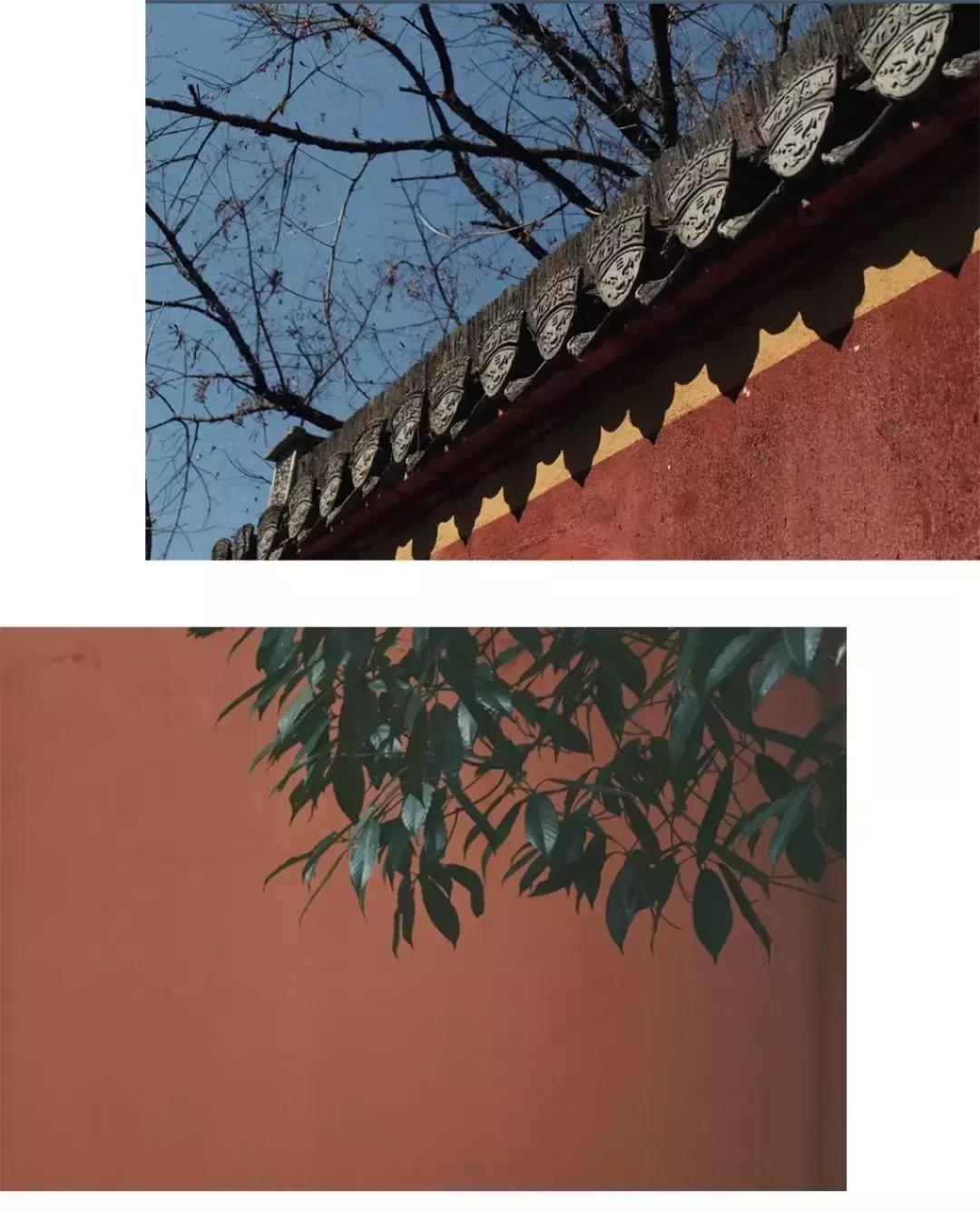 去黄山休宁登这座山！不去北京，也能拍出故宫范er！