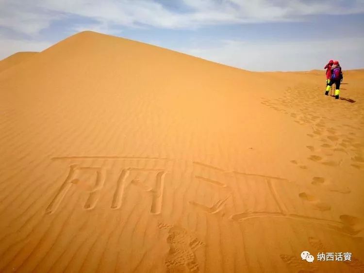 叶紫被雷劈穿越到异界,关于叶紫的穿越小说