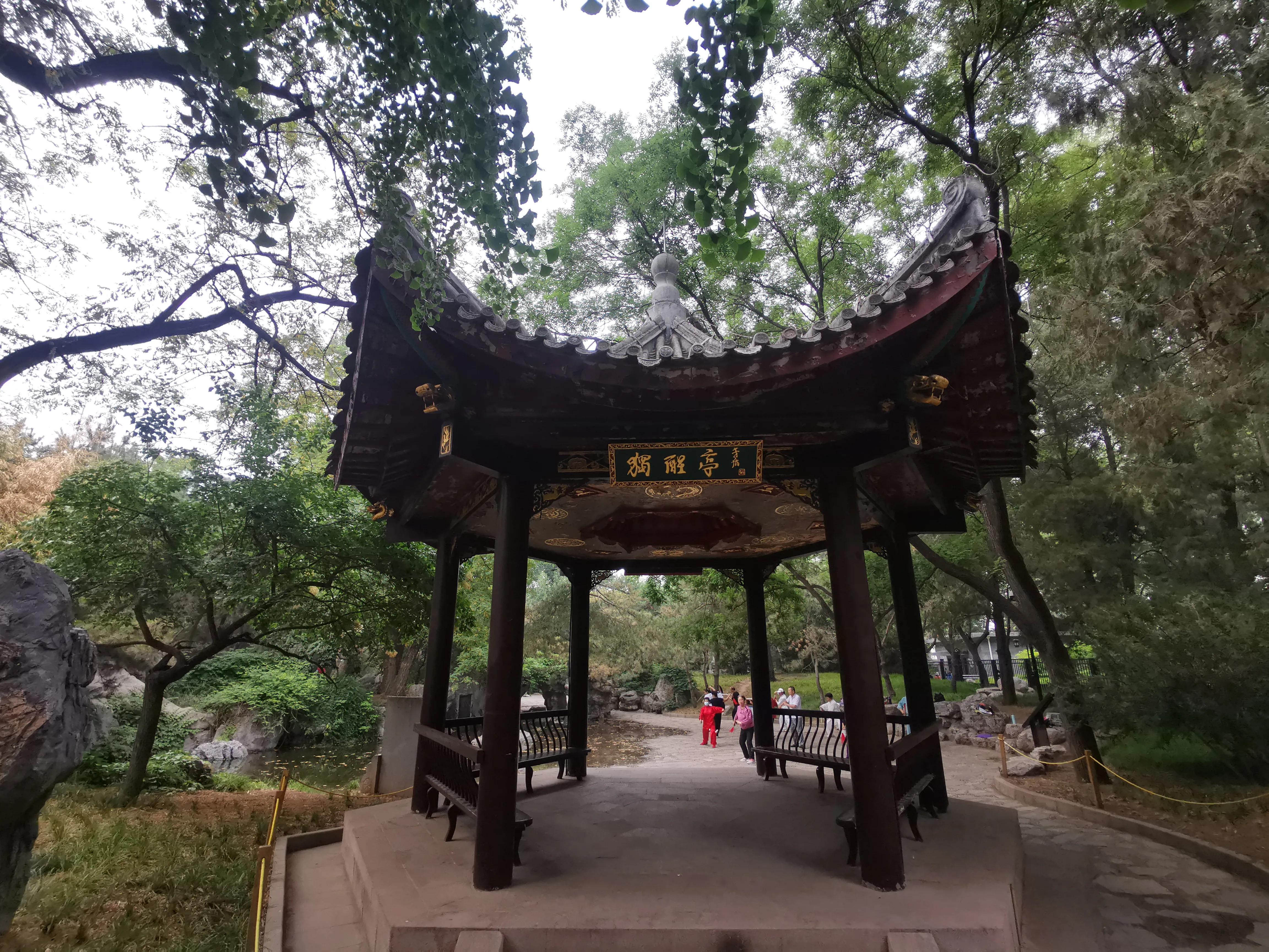 陶然亭公园的12个名亭图片,北京陶然亭公园爱晚亭历史