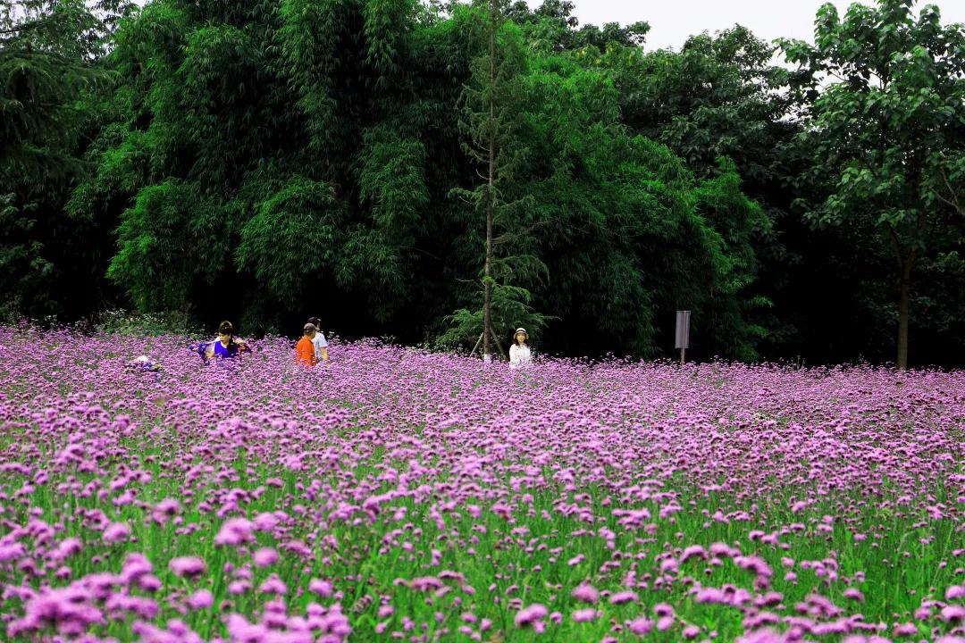 搞快点是哪里方言,搞快点