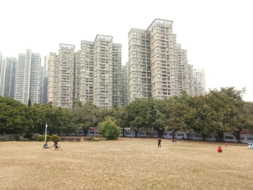 深圳宝安区灵芝公园航拍,宝安灵芝公园