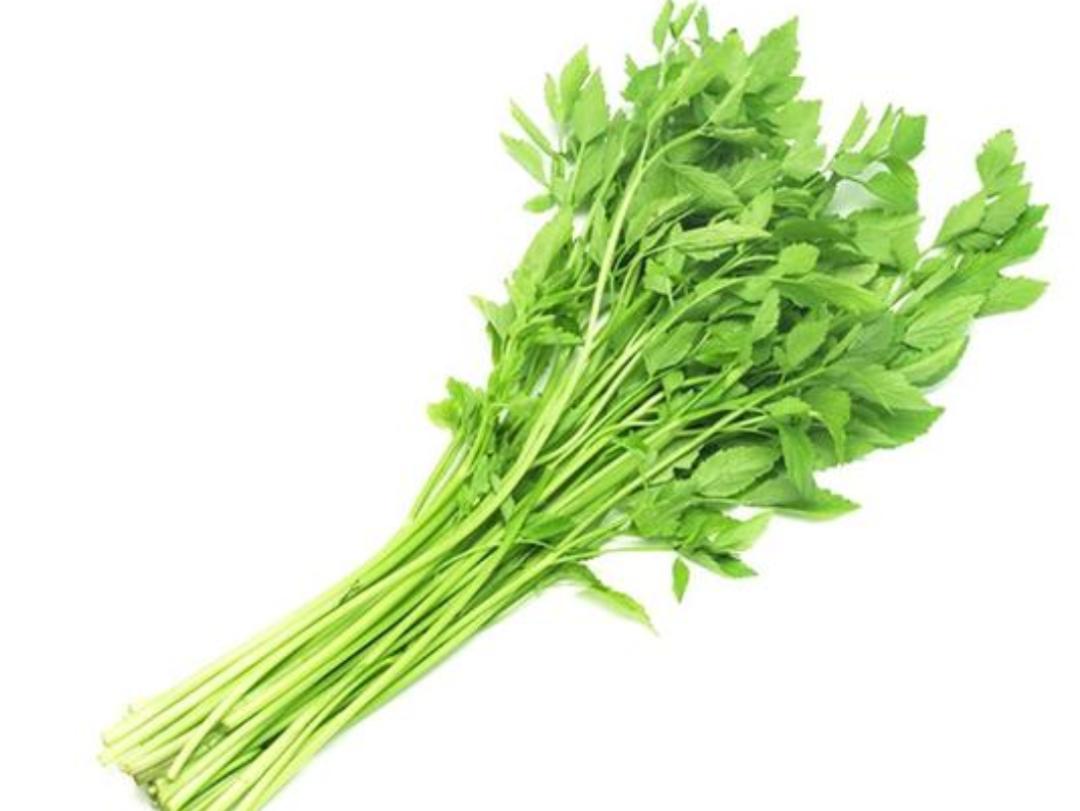 祛体内湿毒的最好最快的方法,如何祛湿毒最好的方法