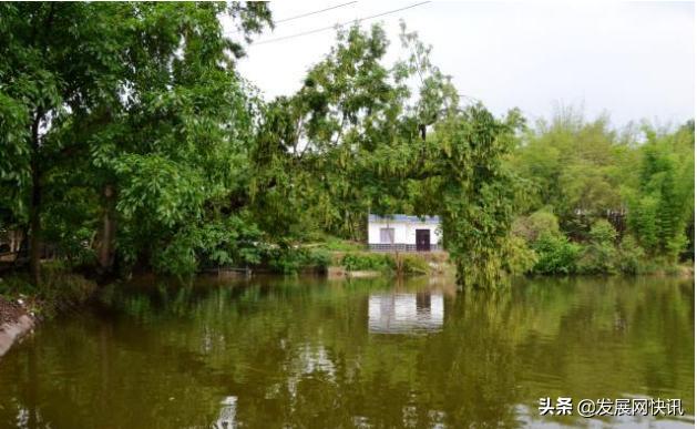 仁寿石咀的小石堰，浓浓的乡愁理不乱也剪不断