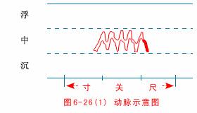 中医把脉入门必背口诀翻译,把脉入门必背口诀粤语版