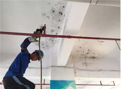 农村房顶漏水修补方法经济划算,房顶漏水补漏在什么温度下最好