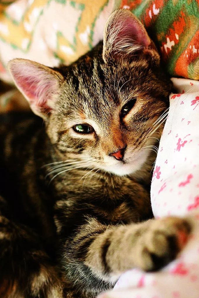 准妈妈的日常护理准则,准妈妈注意事项大全