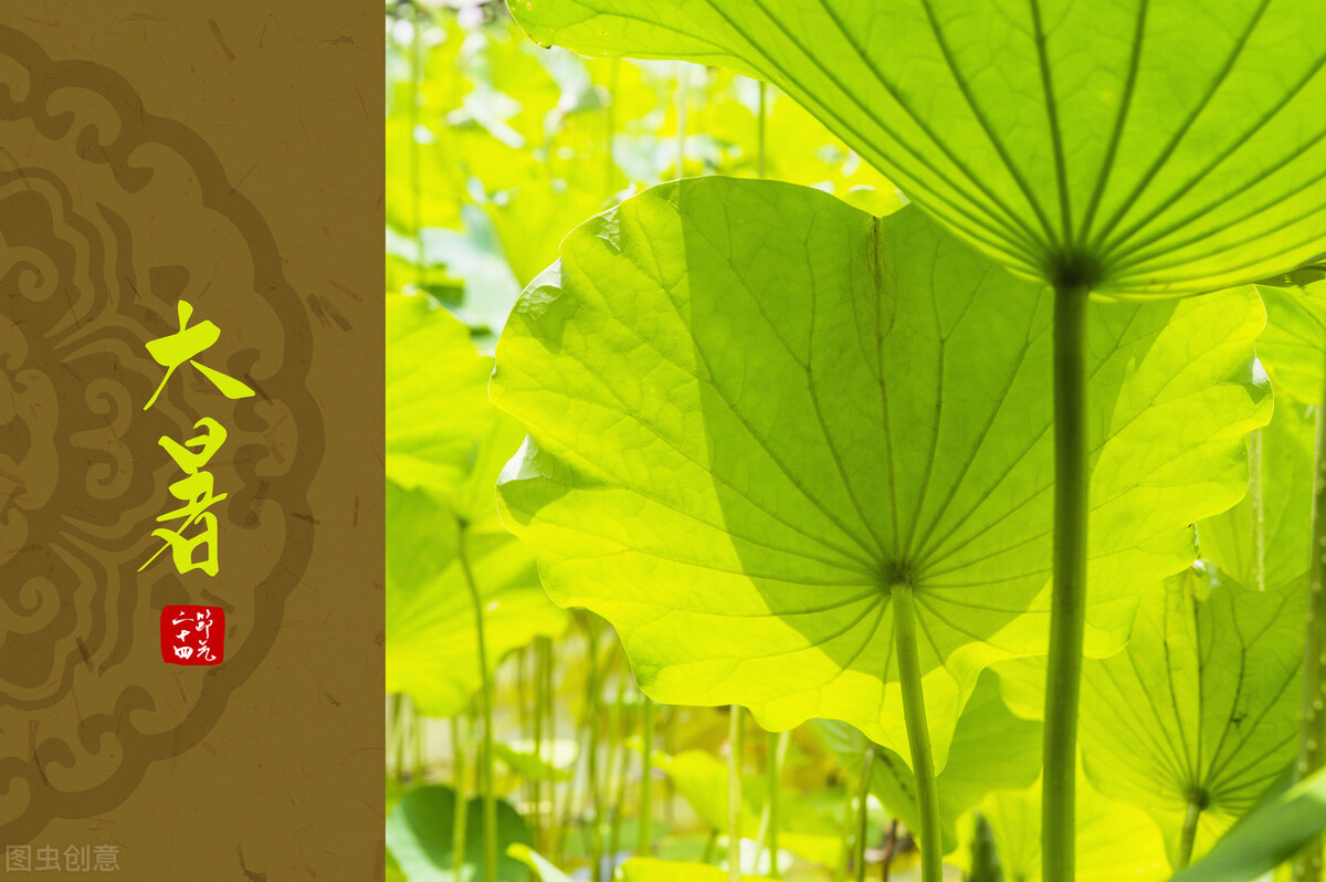 大暑节应吃什么食物,大暑时节这些食物千万不要错过