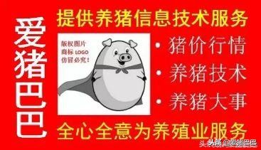 郑州市兽药批发市场哪个最大,全国最大兽药饲料批发市场