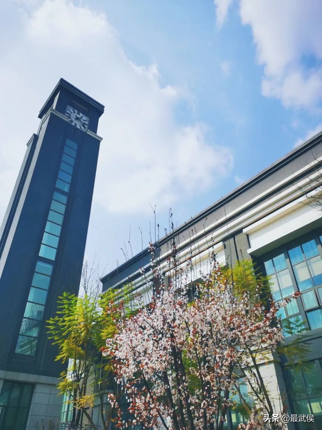 孩子开学生活步入正轨视频,开学后的校园生活