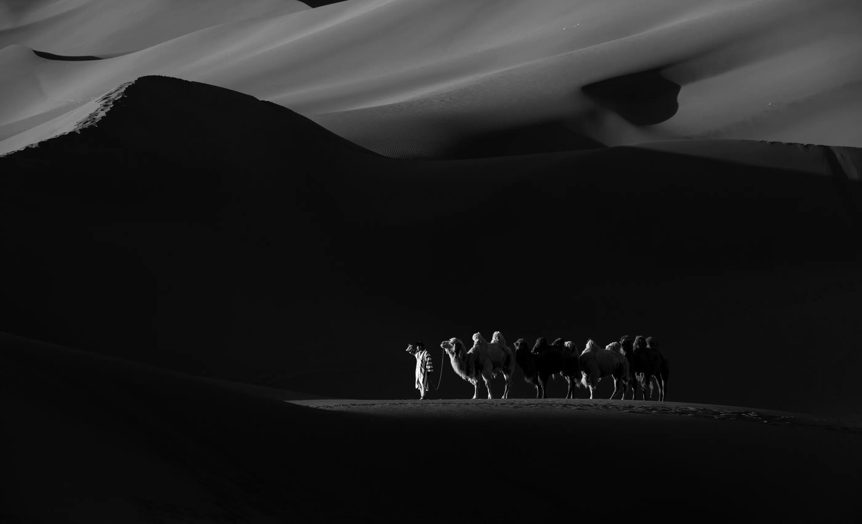 感悟阳光生活,感悟光与影的美