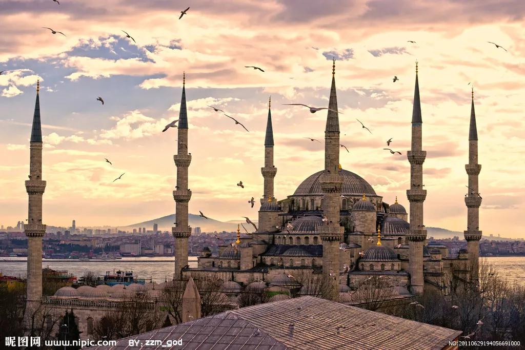 基督教和基督教新教的区别在哪里,基督教和基督新教的区别在哪里呢