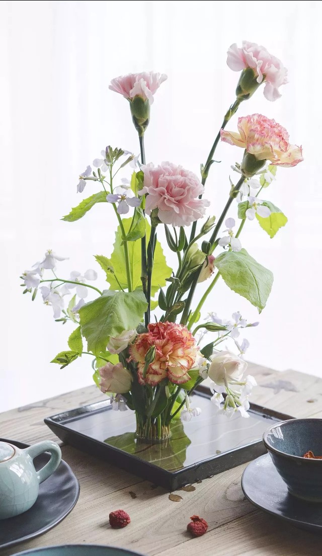 花语大全：各种鲜花的花语，不同颜色寓意也不一样啊