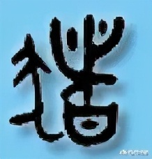 豕字和猪的关系,从猪开始进化