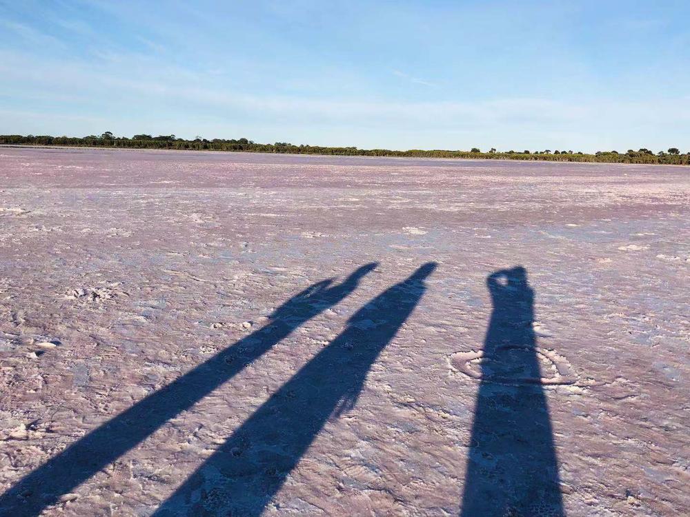 墨尔本阿德莱德周边-粉湖（LochLel）找回遗落的少女心