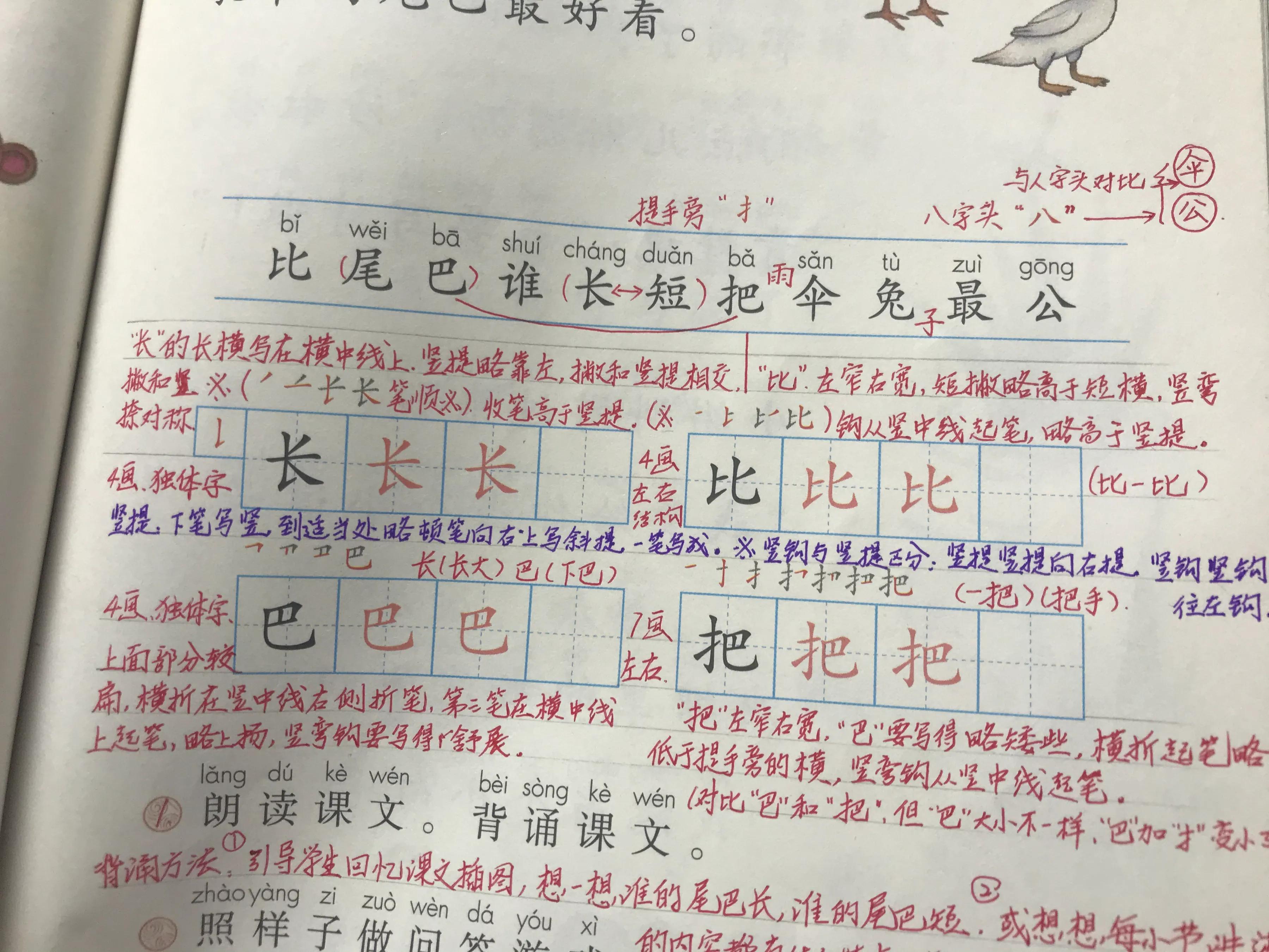如何进行有效的写字教学,写字教学的基本思路