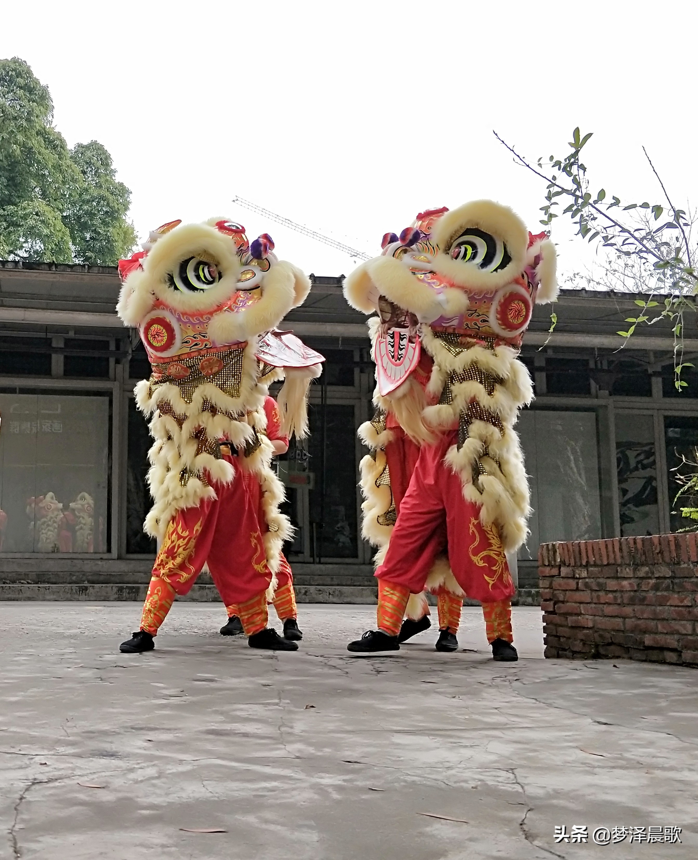 猪年喜庆舞蹈,猪年大吉喜气洋洋广场舞