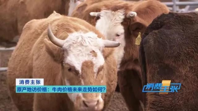 牛肉批发价最新价格,牛肉价格补贴最新消息