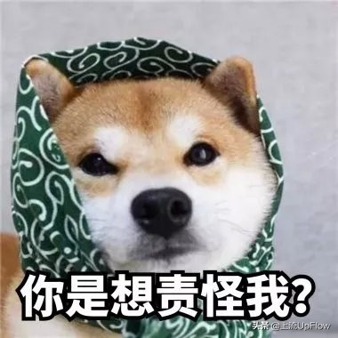 大学选不对专业就是白读,大学选不进科的后果