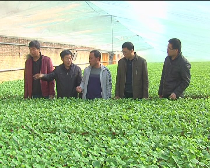 农民工创业哪些行业最好,农民工创业做什么项目好