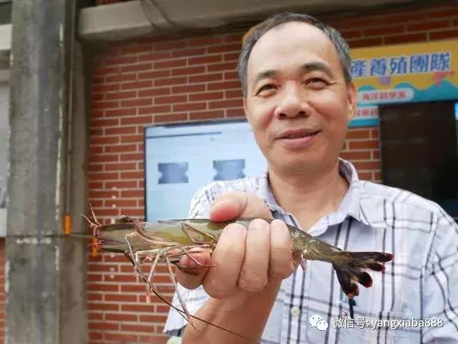 这里，运用新科技与大数据养虾，可控性强，效益高！