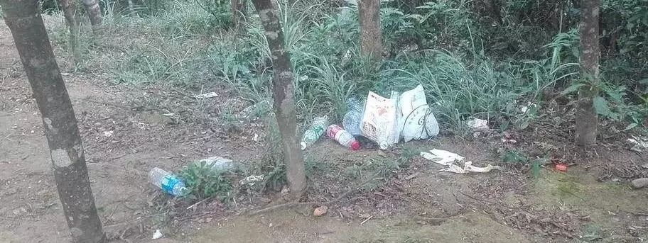 广州公益徒步2019,广州徒步走活动