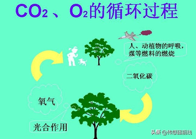 o2co2的意思,o2和co2分别代表什么