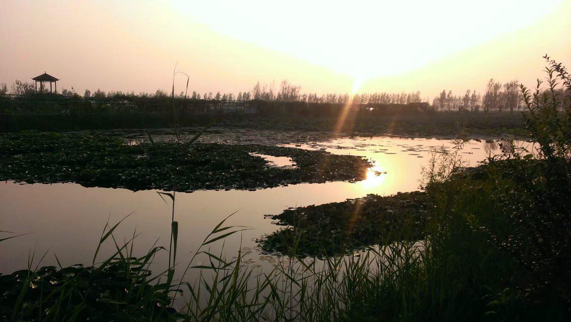 曹县魏湾镇各村姓氏分布,曹县魏湾地名