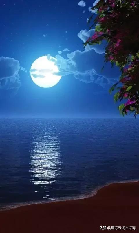 负你一生多少泪，月下花前