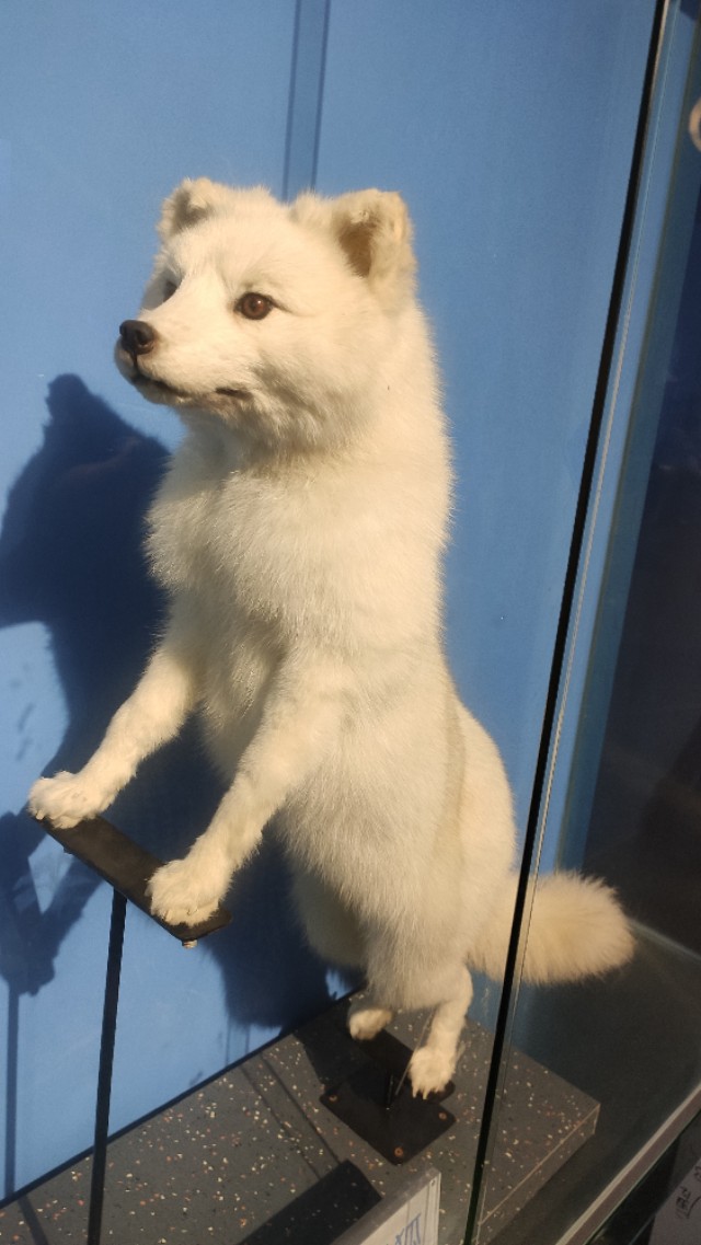 福州欧乐堡海洋世界家庭套票团购,福州欧乐堡海洋世界门票价格