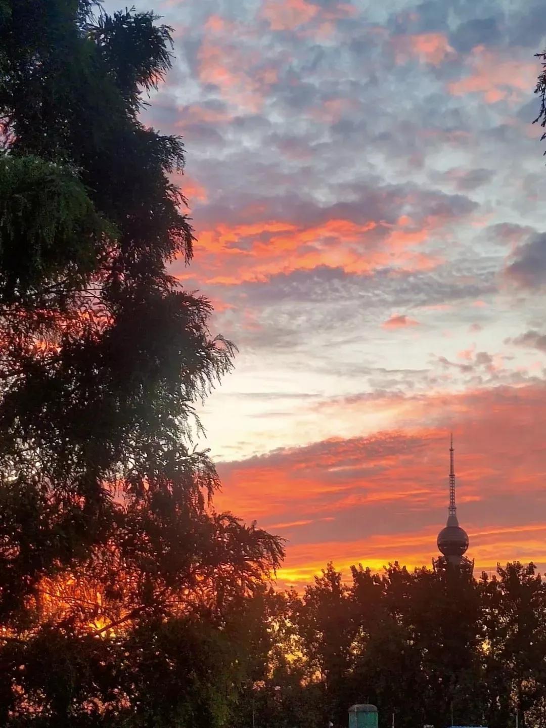 安徽省合肥师范学院2024招生简章,安徽省合肥师范学院今年投档线