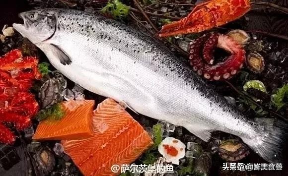 各种寿司纯鲜三文鱼刺身,日本传统寿司都用什么鱼