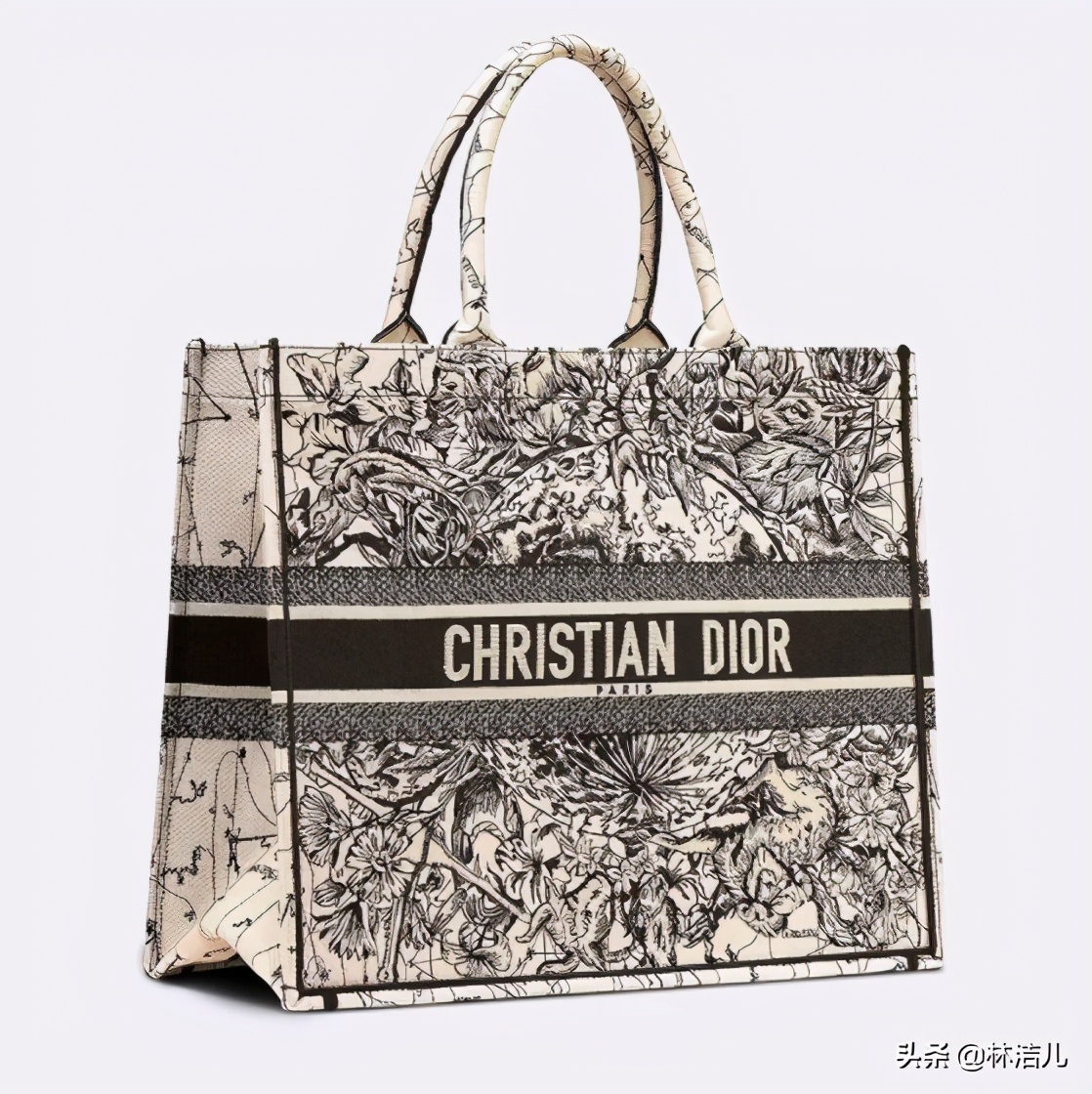 欧阳娜娜倪妮lisa,谁不喜欢香奈儿包包