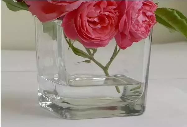 动漫手绘教程水溶彩铅上色技法,彩铅动物毛发技法绘画教程视频