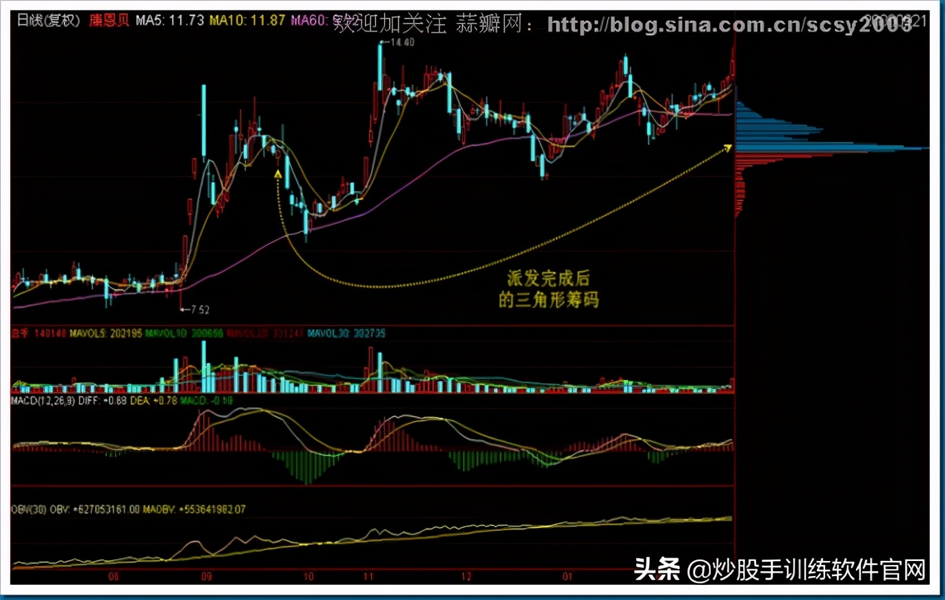 筹码分布图入门与技巧,筹码分布运用详解大全