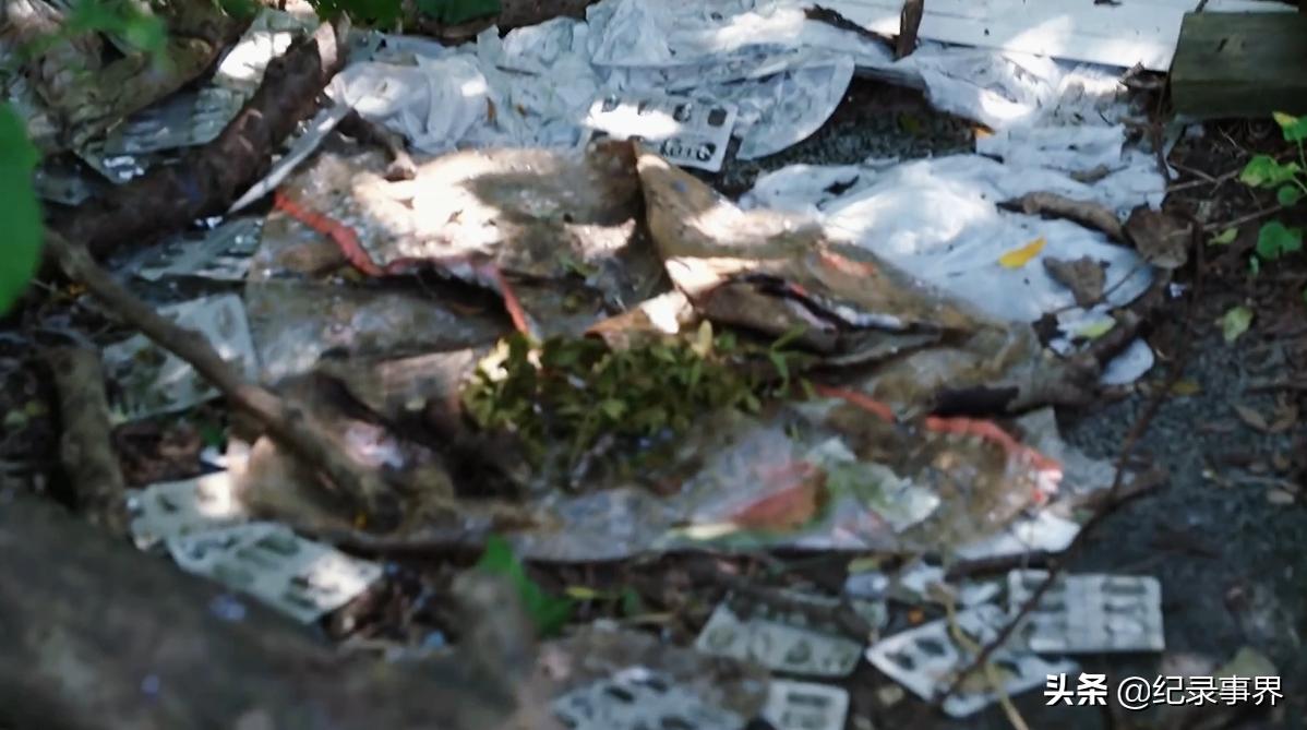 美国最危险的黑帮城市,美国废弃城市底特律