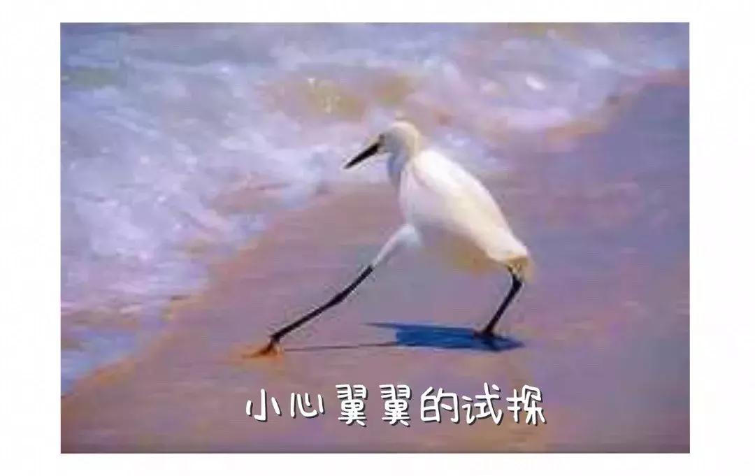 微信转账错了对方已收款如何要回,转账转错人教你一招秒追回