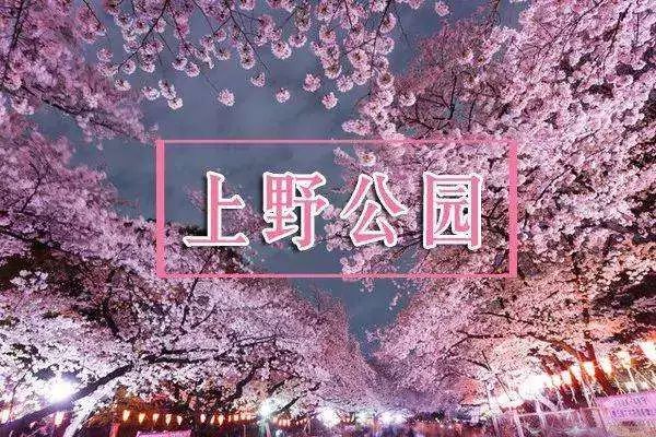 日本赏樱花前三名城市,日本樱花排行榜