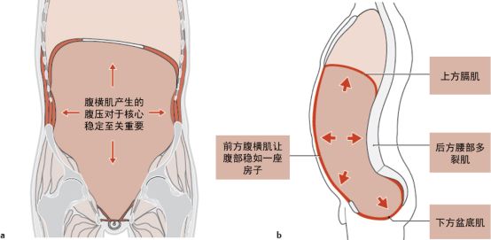 吹气球练腹式呼吸有什么作用,苏炳添训练吹气球